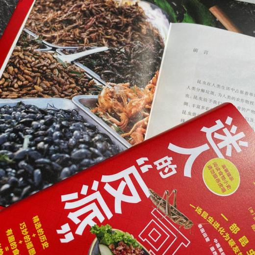 迷人的“反派”：可食用昆虫小史 商品图4