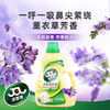 洁而亮洁亮除菌洗衣液2kg 商品缩略图3