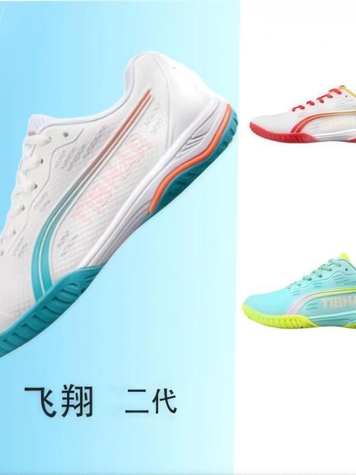 TIBHAR新挺拔款飞翔二代乒乓球鞋专业防滑耐磨（偏小建议选大一码） 商品图0