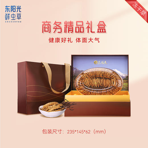 东阳光冬虫夏草 冻干虫草10克/50克/75克/100克/200克  虫草礼盒 虫草滋补补品 商品图1