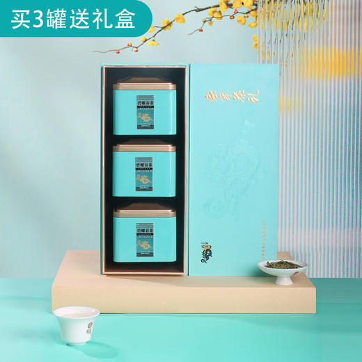 家享碧螺春茶单罐装 51g 买3罐/4罐送礼盒 商品图5