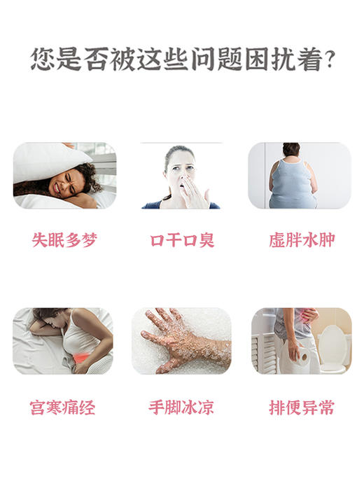 瘦身排湿保健贴  天然本草 商品图1