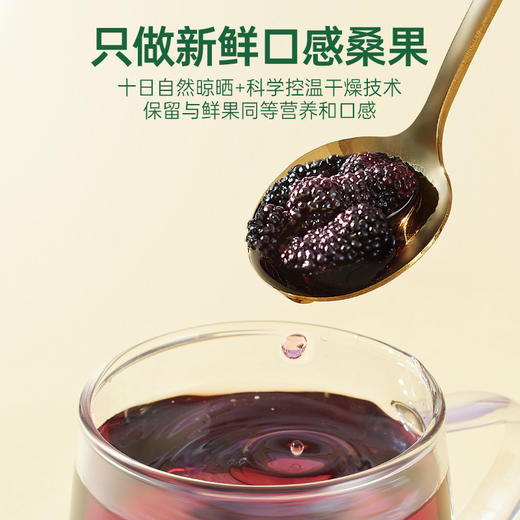 【桑椹干】干吃泡水干净无沙清甜可口浓香桑椹干 商品图3