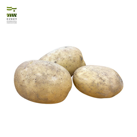 【本地蔬菜】 新鲜土豆500g左右 商品图4