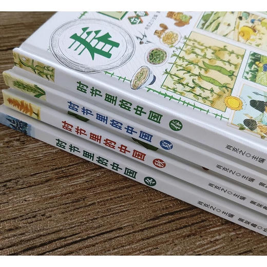 时节里的中国 全4册 二十四节气儿童绘本百科全书科普类书籍 商品图5