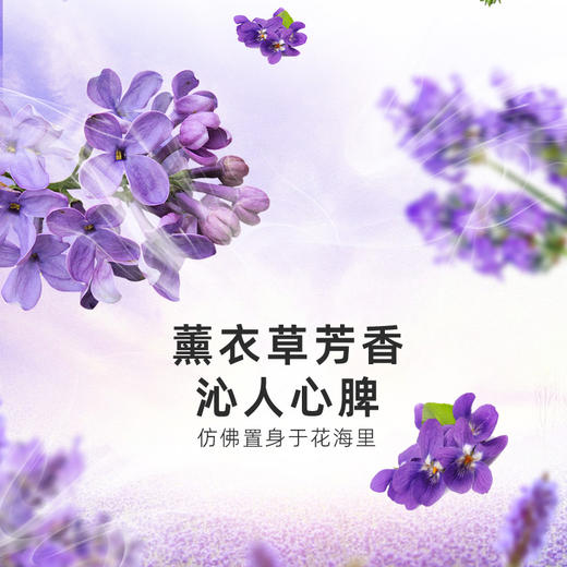 洁而亮洁亮除菌洗衣液2.6kg 商品图3