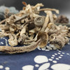 长岭尖精选鹿茸菇120g 商品缩略图7