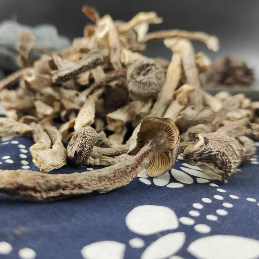 长岭尖精选鹿茸菇120g 商品图7