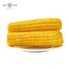 粹品沁采东北鲜食黄糯玉米礼盒2.2kg（新老包装随机） 商品缩略图4