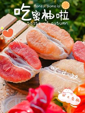 柚中之冠！【四大名柚】琯溪蜜柚 白柚/三红柚/红心柚/黄金柚 果大皮薄 柔软酸甜 汁水充足 一次性体验所有蜜柚~