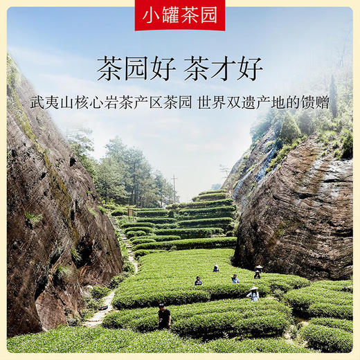 小罐茶园 金标系列大红袍茶65g 商品图1