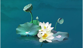 莲花动功·演示版