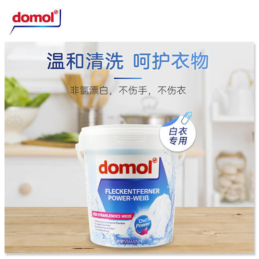 德国Domol漂白剂白衣服物去黄增白强效去渍清洁剂洗衣粉 750g/桶 商品图1