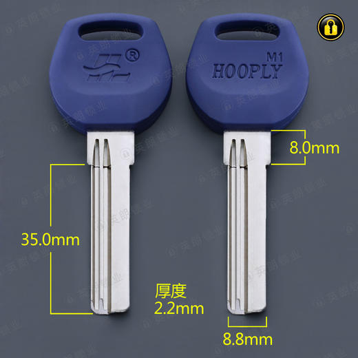 〖4026〗蓝胶百利右 商品图0