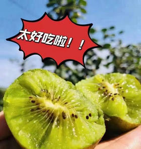 周三配送至小区门口！现摘现发的正宗徐香猕猴桃，用的益生菌肥料，灌溉的是农夫山泉同水源的水 ，光照好，果子香甜，最最关键摘下来之后一丢丢保鲜剂都不用，真心是全程绿色，吃起来安心！大果，20枚/箱，约4斤