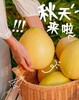 柚中之冠！【四大名柚】琯溪蜜柚 白柚/三红柚/红心柚/黄金柚 果大皮薄 柔软酸甜 汁水充足 一次性体验所有蜜柚~ 商品缩略图4
