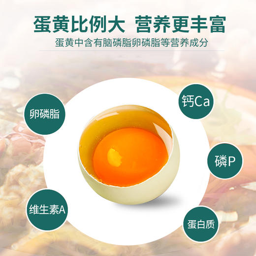 神丹32%绿壳鸡蛋30枚 商品图2