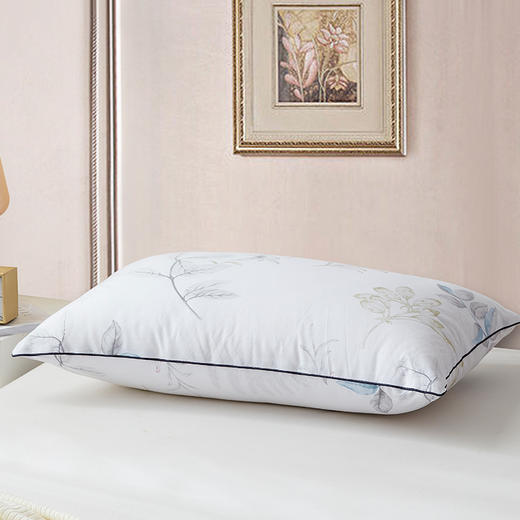 梦洁美颂 玻尿酸亲肤枕 800g*2 商品图5