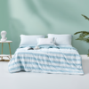 梦洁 水洗棉 印花夏被（莱逸）300g 商品缩略图0