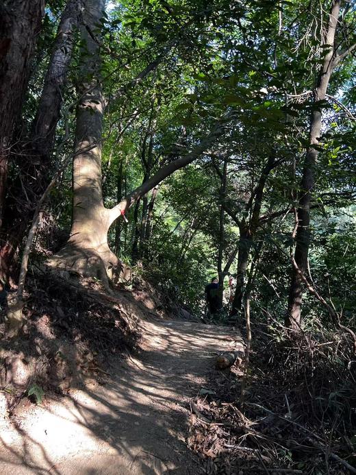 【泊寓户外】11月18日阳台山徒步 商品图7