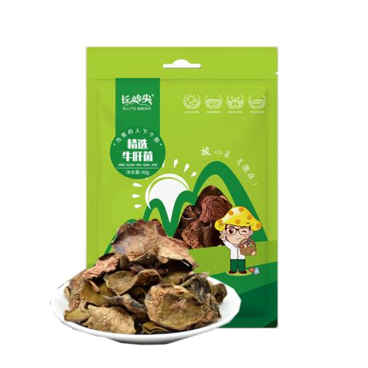 长岭尖精选牛肝菌48g*2袋 商品图0