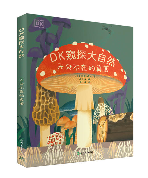 DK窥探大自然（全3册）： 《睁大眼睛看空中》 《无处不在的真菌》 《脚下隐藏的世界》 商品图3