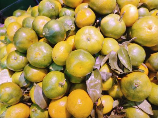 青皮蜜橘3斤 商品图1