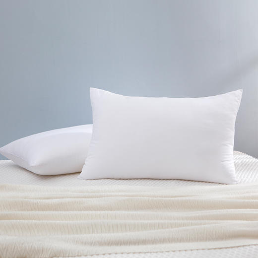 梦洁 臻柔享梦 对枕 (550g*2) 商品图3