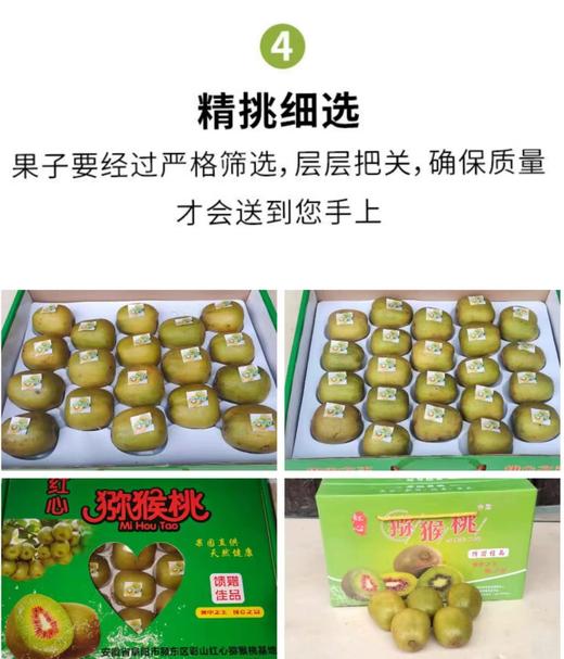 红阳 -红心猕猴桃礼盒装【FY】 商品图4