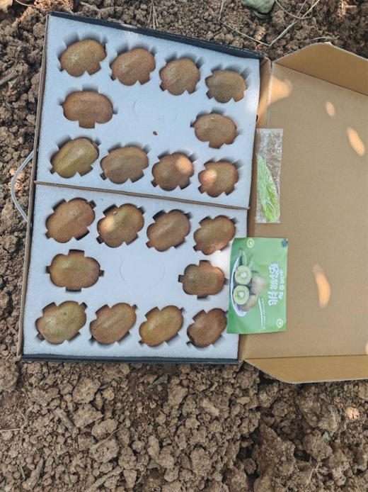 周三配送至小区门口！现摘现发的正宗徐香猕猴桃，用的益生菌肥料，灌溉的是农夫山泉同水源的水 ，光照好，果子香甜，最最关键摘下来之后一丢丢保鲜剂都不用，真心是全程绿色，吃起来安心！大果，20枚/箱，约4斤 商品图4