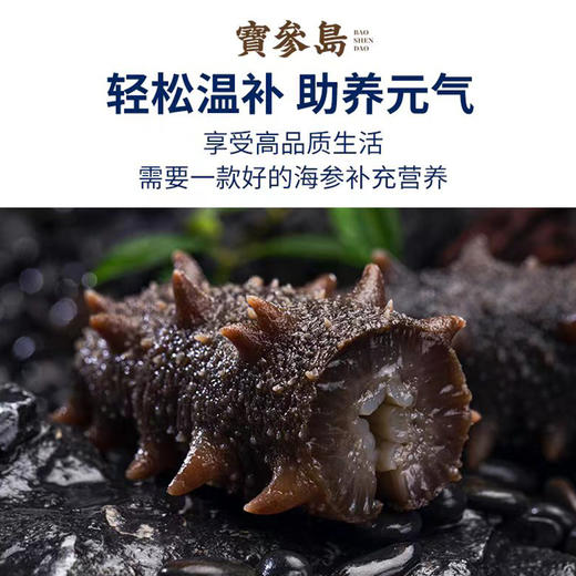 鲜食海参辽参大连海参6-7头/500g（7斤送3斤到手10斤）鲜爽Q弹滋补 商品图2