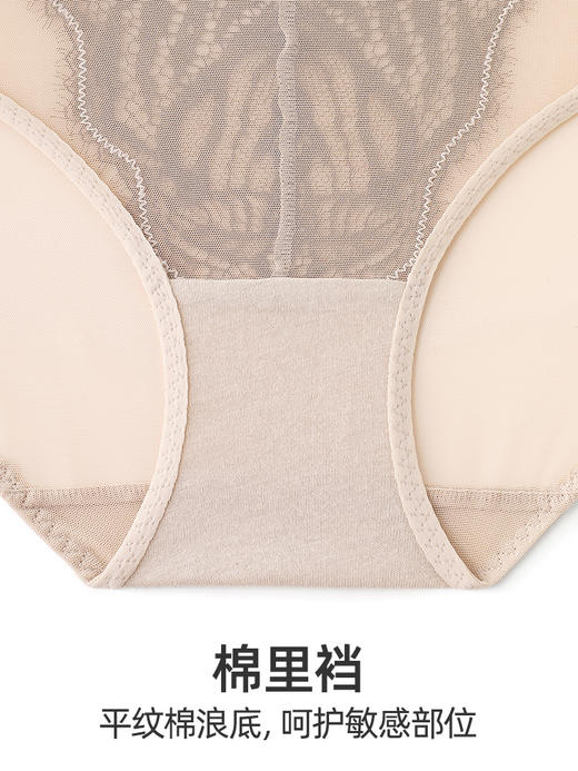 HSIA遐蕾丝中腰平角裤时尚酷感撞色性感仿T裤纯棉裆轻薄女士内裤 商品图4