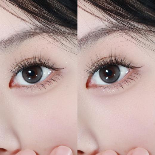 focusmoon日抛 纯真小狗 灰 14.2mm 日抛无售后！！有同款年抛 商品图3