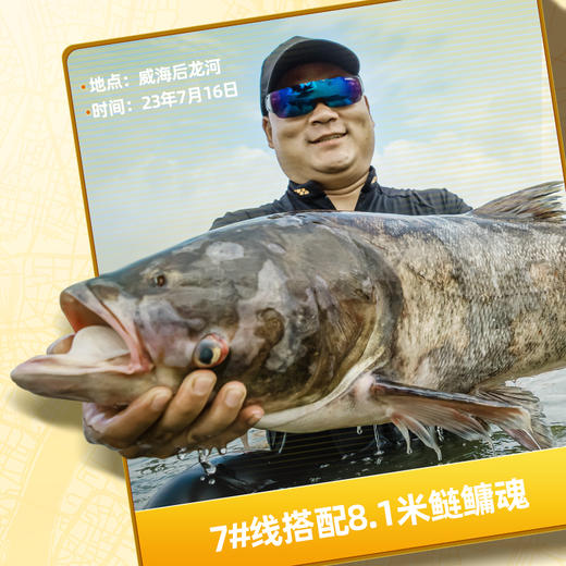 汉鼎鲢霸系列绑好单盒主线祖线钓鱼线组台钓配件大物鲢鳙鱼线线组 商品图2