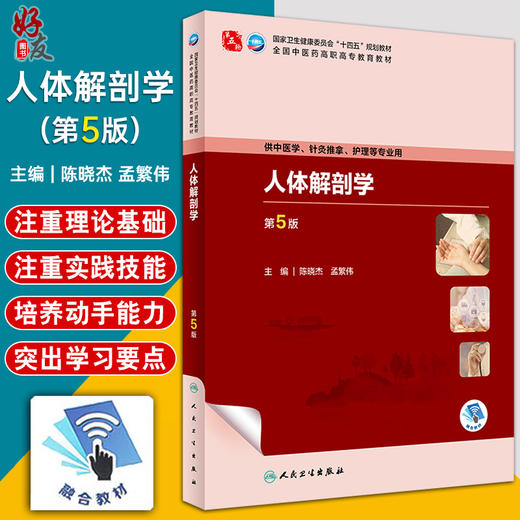 人体解剖学 第5版 陈晓杰 孟繁伟 全国中医药高职高专教育教材 供中医学针灸推拿护理等专业用 人民卫生出版社9787117349260 商品图0