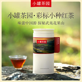 小罐茶园 彩标系列花香小种红茶100g