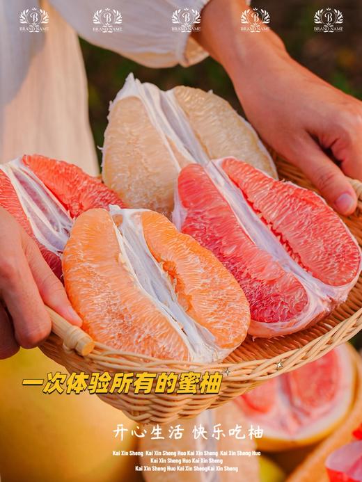 柚中之冠！【四大名柚】琯溪蜜柚 白柚/三红柚/红心柚/黄金柚 果大皮薄 柔软酸甜 汁水充足 一次性体验所有蜜柚~ 商品图2