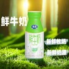 （4.5元/瓶）银桥巴氏鲜牛奶 配送到家 商品缩略图1