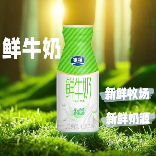 （4.5元/瓶）银桥巴氏鲜牛奶 配送到家 商品图1
