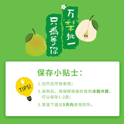 超特礼盒装山西小西天隰县正宗玉露香梨8颗礼盒装 商品图6