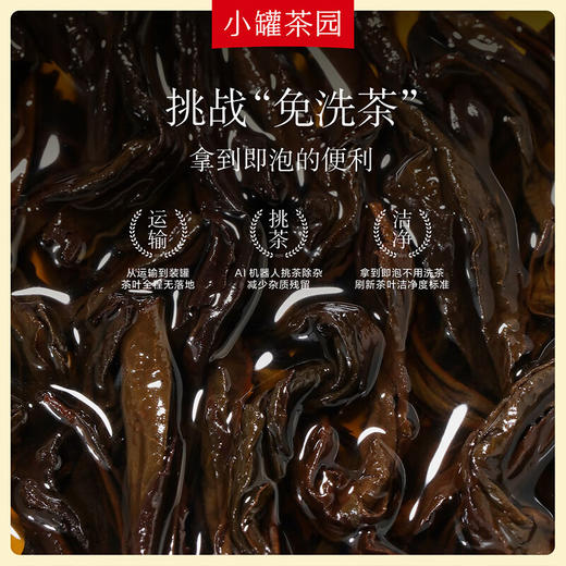 小罐茶园 金标系列大红袍茶65g 商品图3