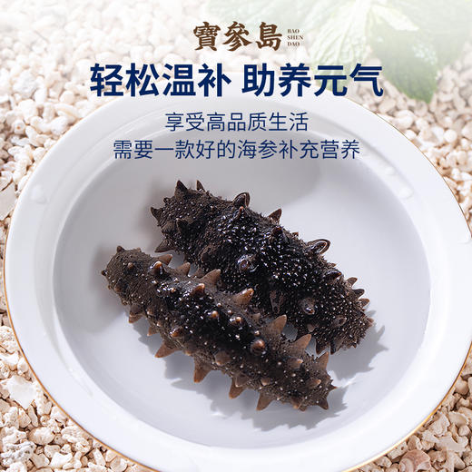 鲜食海参辽参大连海参6-7头/500g（7斤送3斤到手10斤）鲜爽Q弹滋补 商品图4