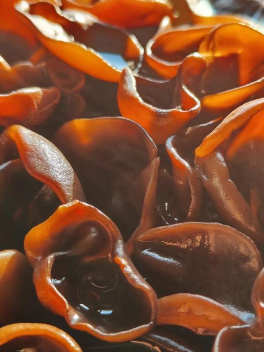 北货郎秋木耳 250g 商品图2