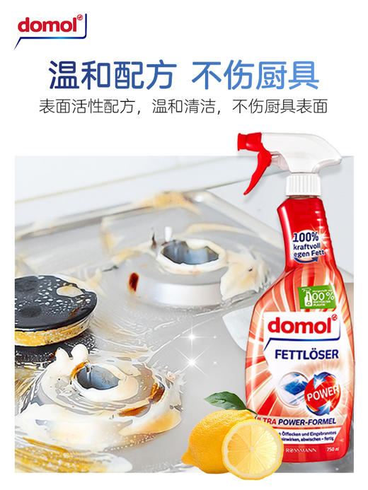 德国进口Domol厨房强力去油污喷雾油烟机清洗剂 750ml/瓶 商品图1