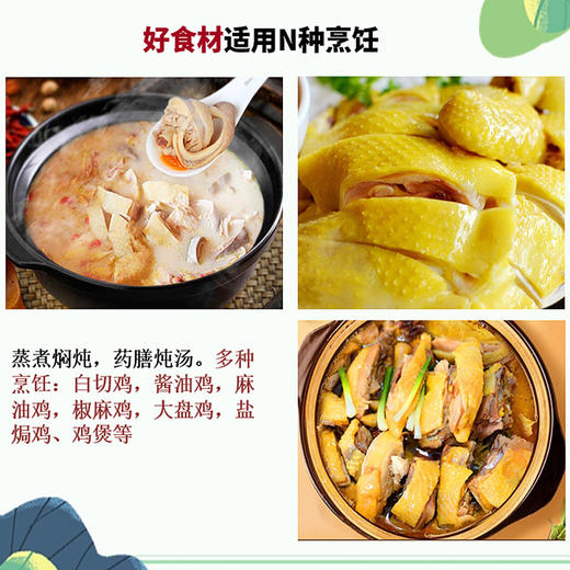 【胡须鸡】 农家生态 山林120--150天/180天散养 味鲜皮薄肉脆 商品图4