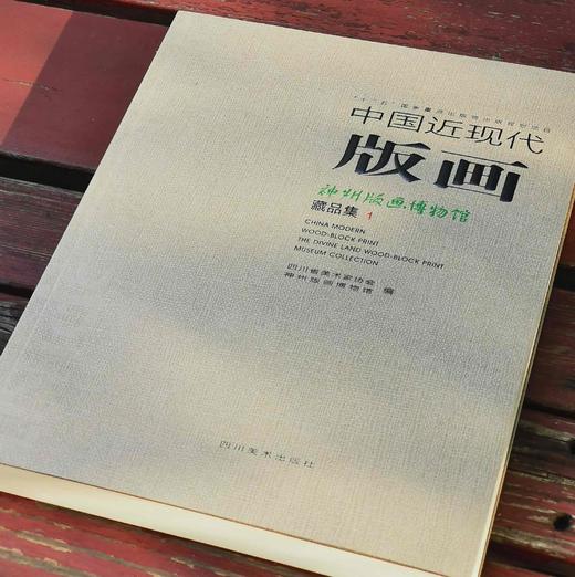 《中国近现代版画：神州版画博物馆藏品集1》，大16开，平装，255页，铜版彩印，四川美术出版社2014年版，定价380，售价115元，会员价99元
  商品图2