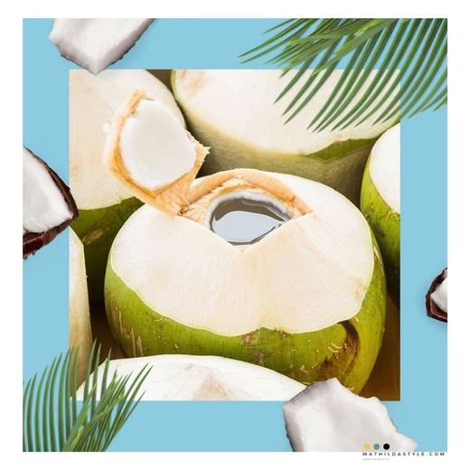 ✨【新品上市】轻朗·轻椰 NFC100%椰子水🚚3天内发货~ 商品图9