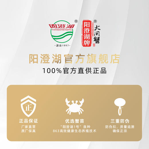 阳澄湖牌出口级有机大闸蟹蟹卡 商品图4