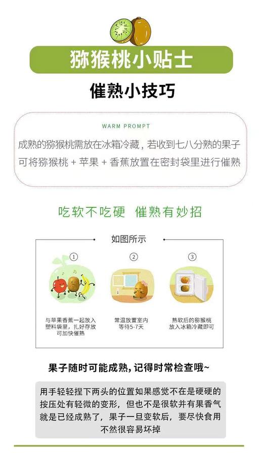 红阳 -红心猕猴桃礼盒装【FY】 商品图5