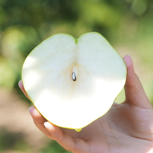 超特礼盒装山西小西天隰县正宗玉露香梨8颗礼盒装 商品图8